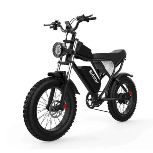 Ridstar Electric Bike for Adults 1500w 33mph,48v 20ah Electric Bicycle,20″ Fat Tire,7-Speed Mountain Bike Ul2849